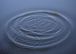 Wellen im Wasser