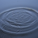 Wellen im Wasser